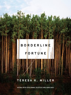 cover image of Borderline Fortune
